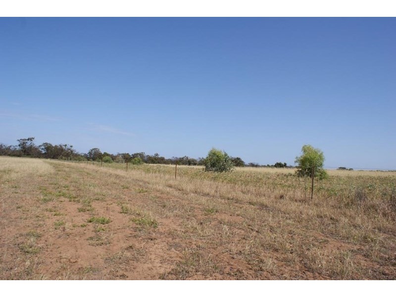 Lot 917 Wye Farm Road, Bonniefield WA 6525