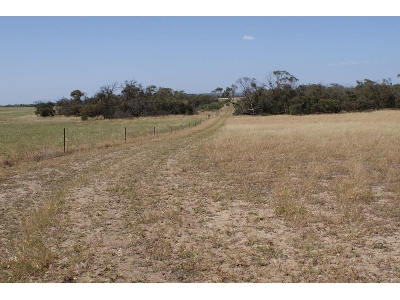 Lot 917 Wye Farm Road, Bonniefield WA 6525