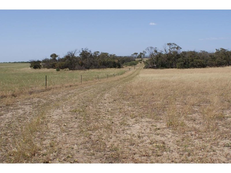 Lot 917 Wye Farm Road, Bonniefield WA 6525