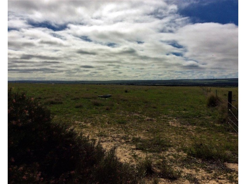 169 Bookara East Road, Bookara WA 6525