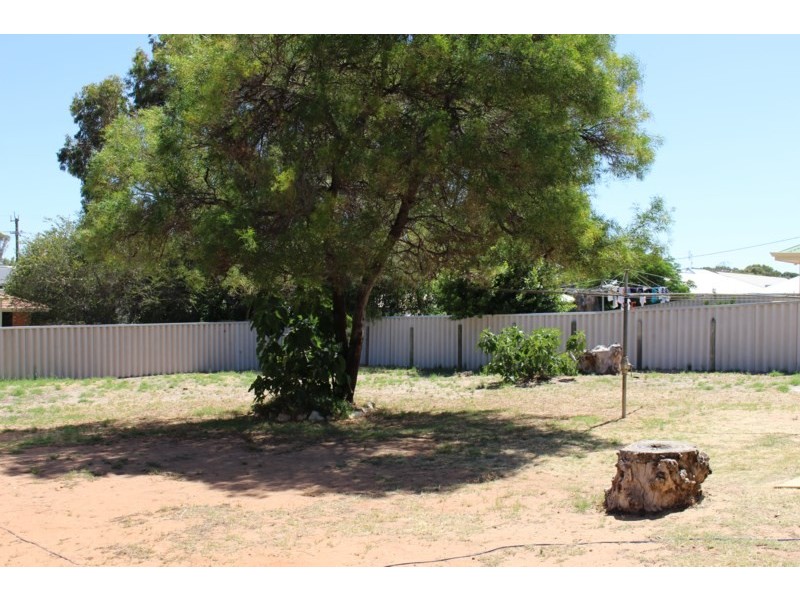 8 Armstrong Street, Dongara WA 6525