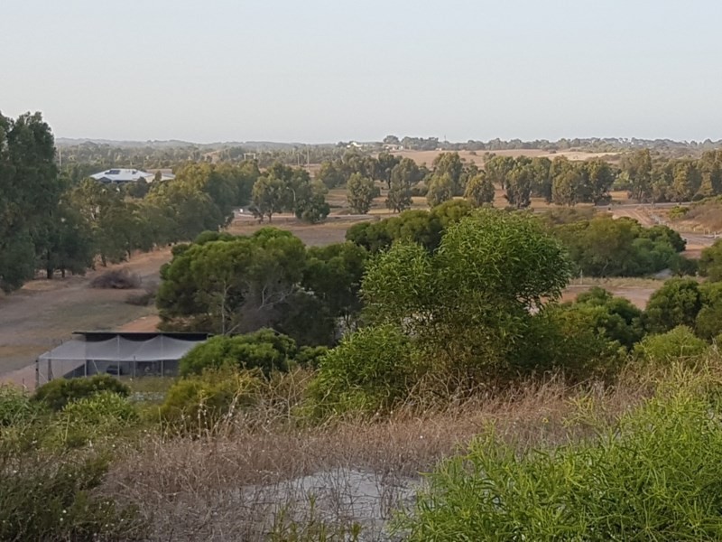 Lot 46 Powderbark Loop, Springfield WA 6525