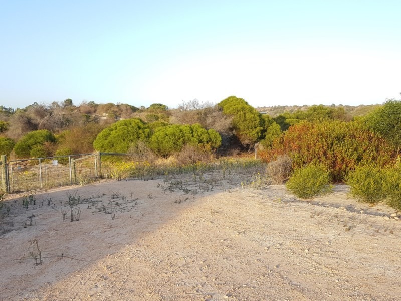 Lot 46 Powderbark Loop, Springfield WA 6525