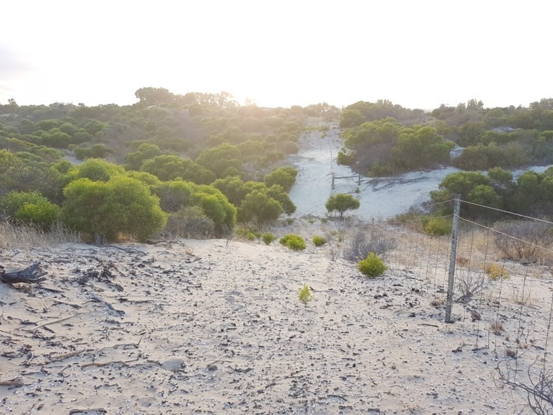 Lot 46 Powderbark Loop, Springfield WA 6525