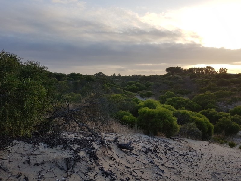 Lot 46 Powderbark Loop, Springfield WA 6525