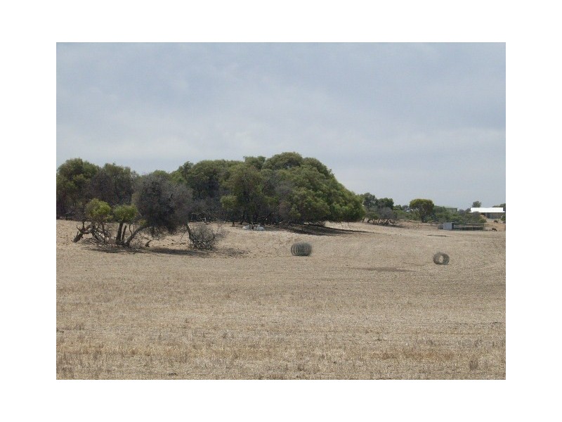 Lot 3 Sheoak Road, Springfield WA 6525