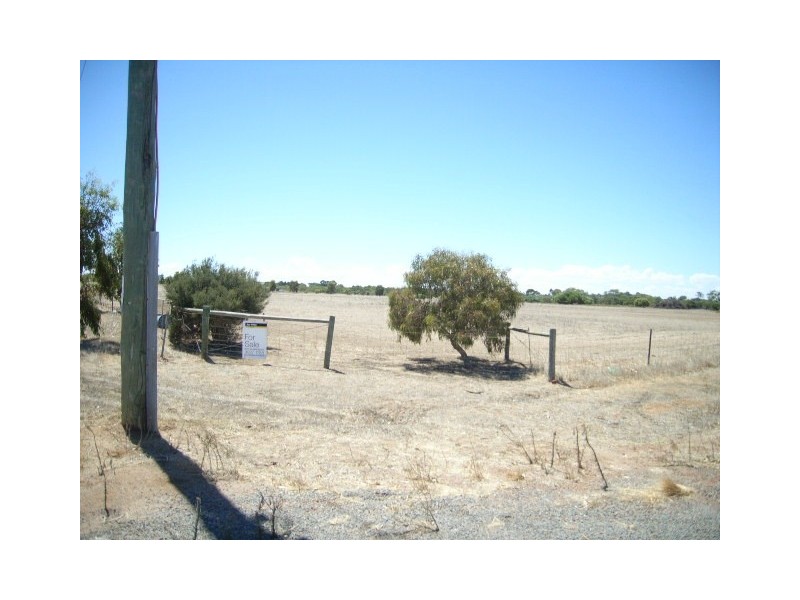 38 Rivergum Way, Springfield WA 6525