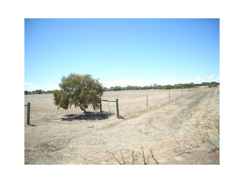 38 Rivergum Way, Springfield WA 6525