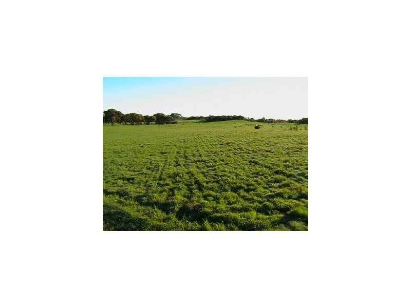 Lot4/130 Springfield Drive, Springfield WA 6525