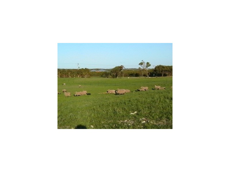 Lot3/130 Springfield Drive, Springfield WA 6525