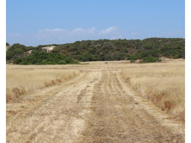 Lot 11 Hamersley Road, Mount Adams WA 6525