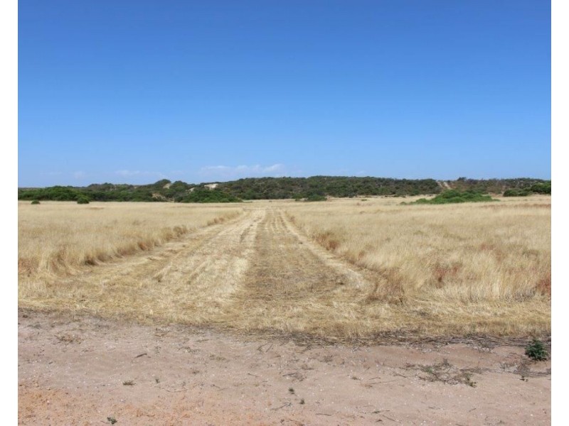 Lot 11 Hamersley Road, Mount Adams WA 6525