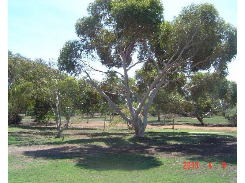 14 Massingham Place, Dongara WA 6525