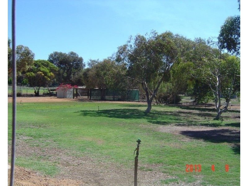 14 Massingham Place, Dongara WA 6525