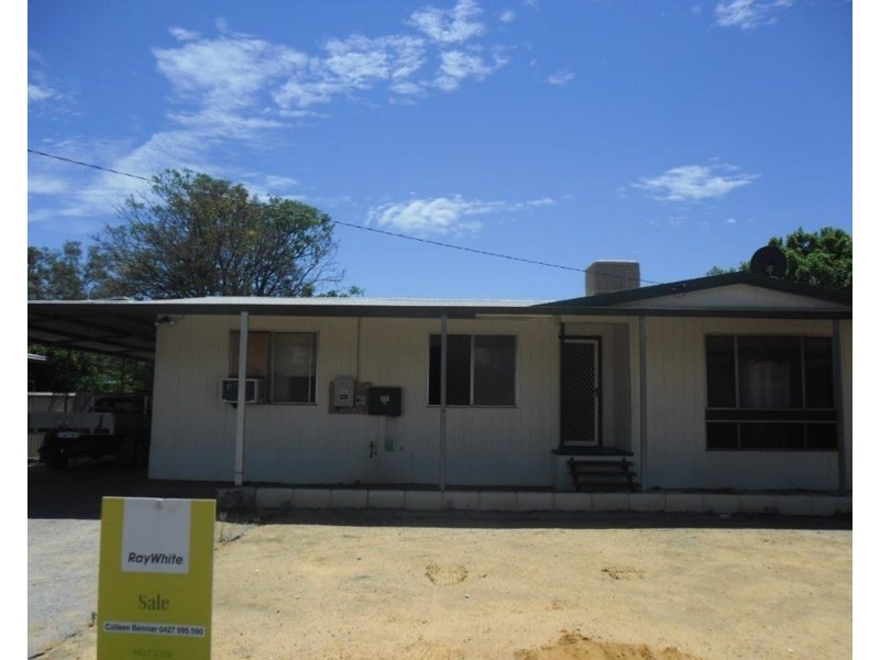 75 Slaughter Street, Three Springs WA 6519