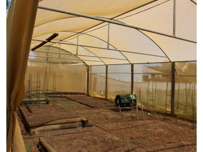 33 Shenton Street, Mingenew WA 6522