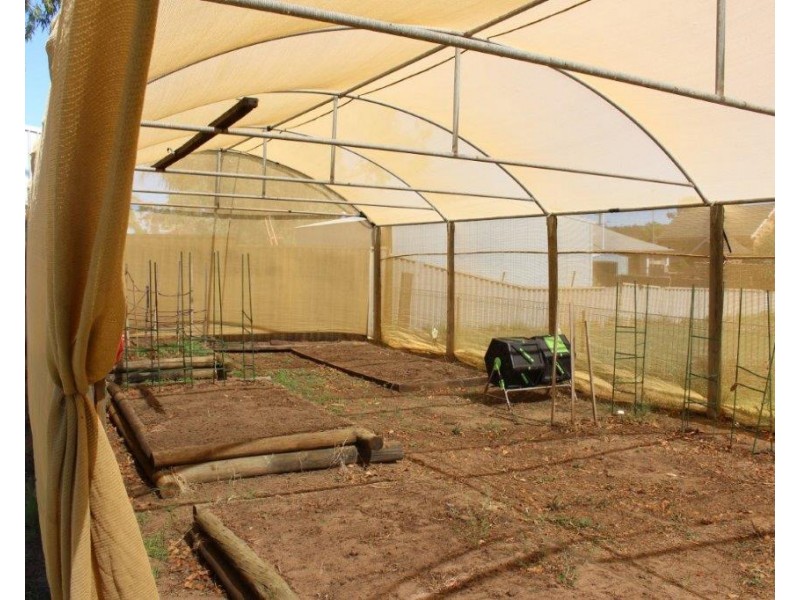 33 Shenton Street, Mingenew WA 6522