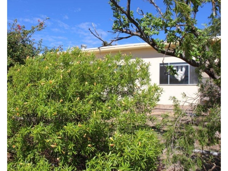 33 Shenton Street, Mingenew WA 6522