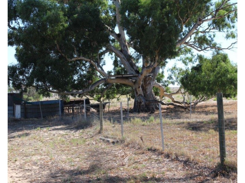 26 Fettler Street, Irwin WA 6525