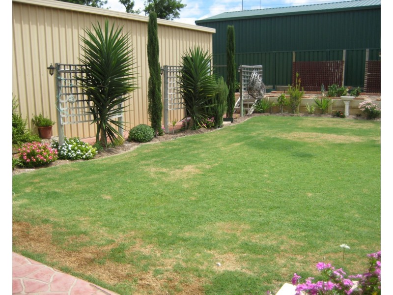 8 Canny Place, Port Denison WA 6525