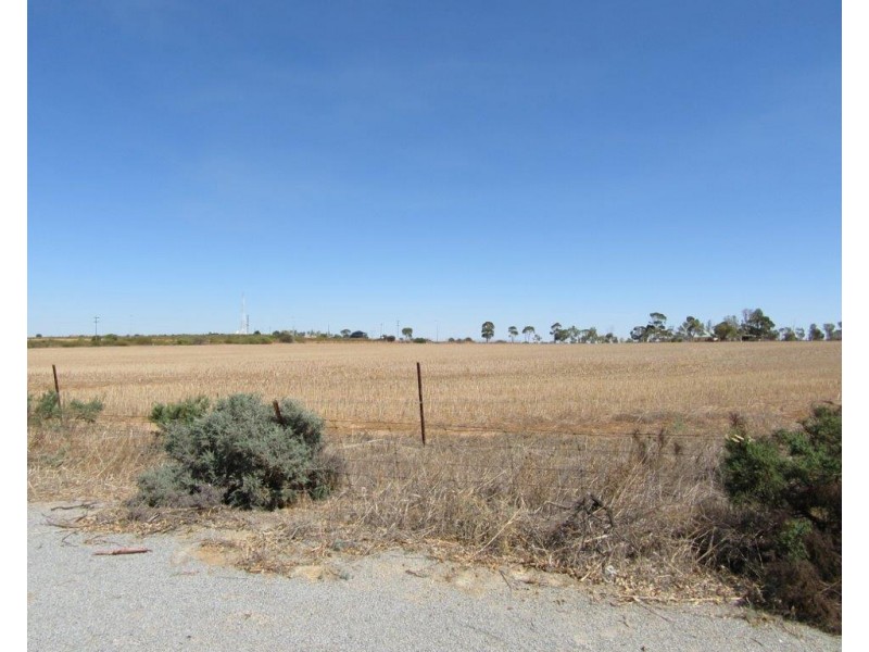 19 Parker Street, Carnamah WA 6517