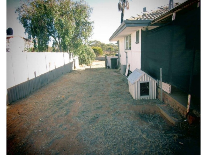 3 Hunt Street, Three Springs WA 6519