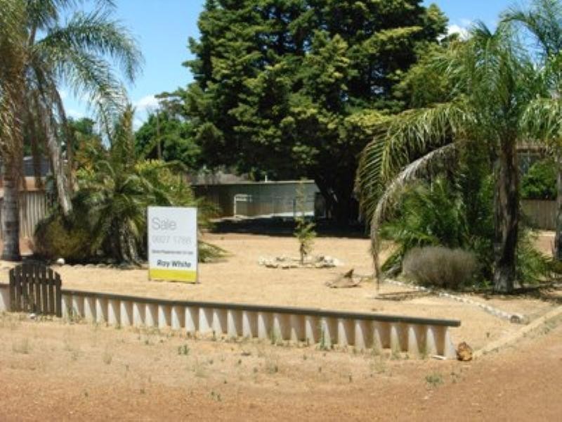 64 Williamson, Three Springs WA 6519