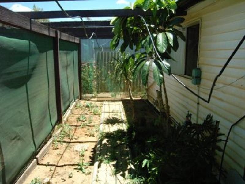 64 Williamson, Three Springs WA 6519