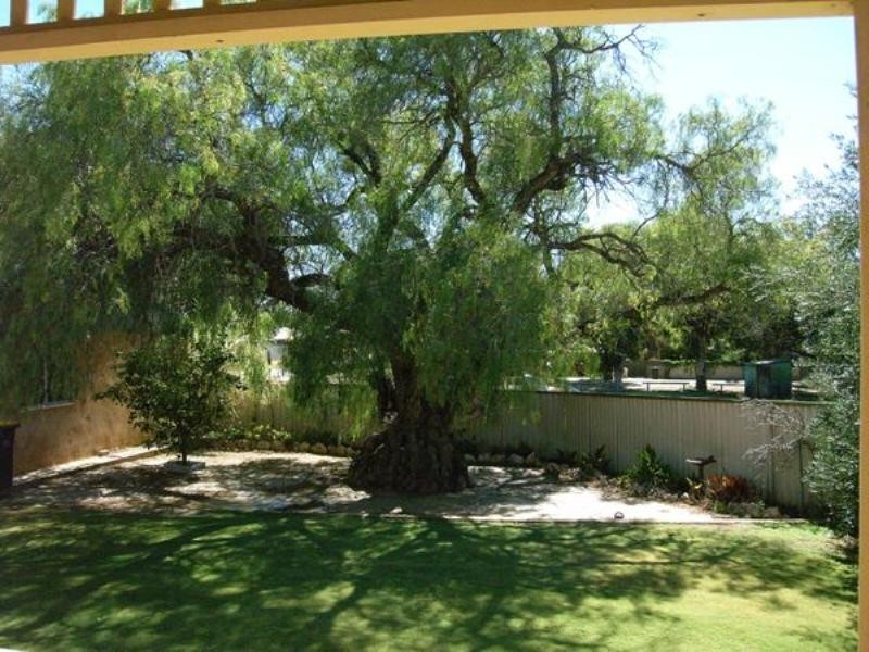 22 Waldeck Street, Dongara WA 6525