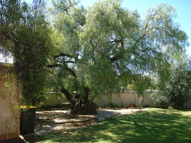 22 Waldeck Street, Dongara WA 6525