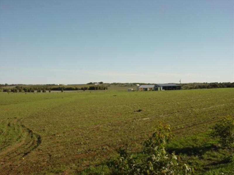 142 Wimpole Road, Dongara WA 6525