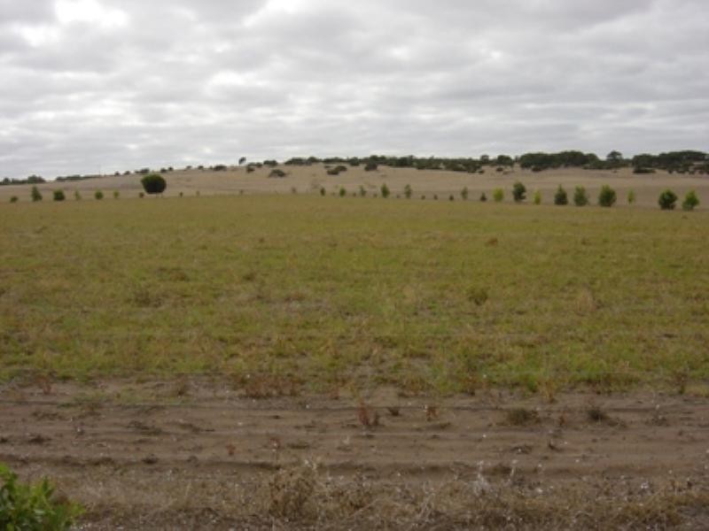 142 Wimpole Road, Dongara WA 6525