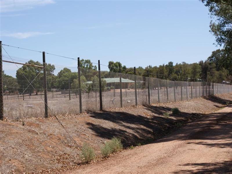 25 Midlands Road Irwin, Dongara WA 6525