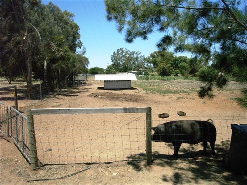 25 Midlands Road Irwin, Dongara WA 6525