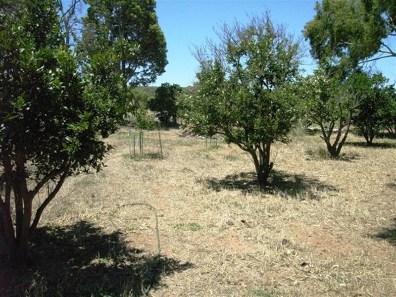 25 Midlands Road Irwin, Dongara WA 6525