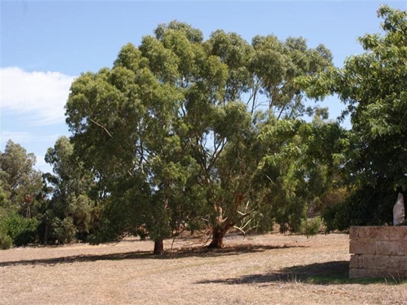 25 Midlands Road Irwin, Dongara WA 6525