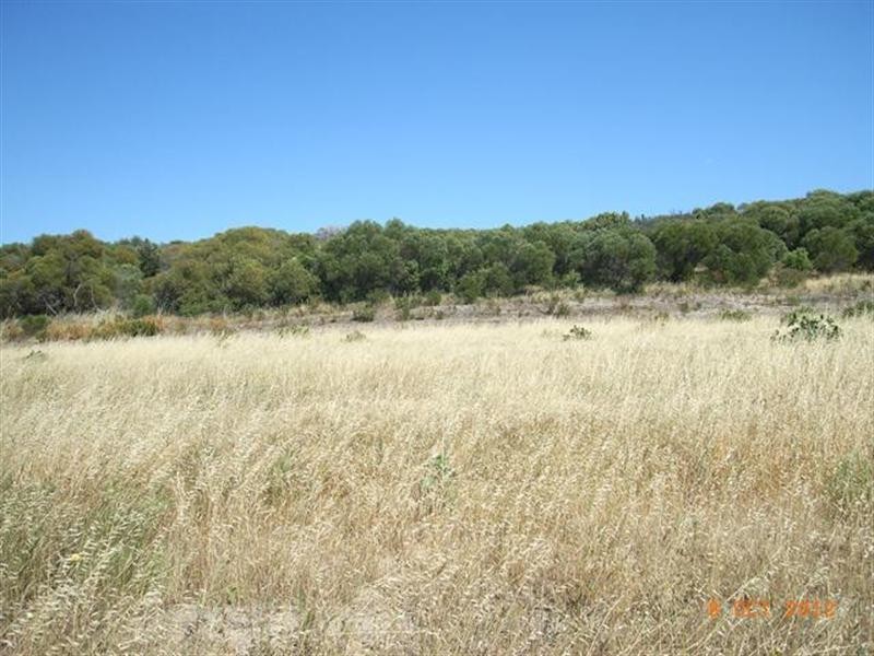 Lot 731 Premier Circle, Dongara WA 6525