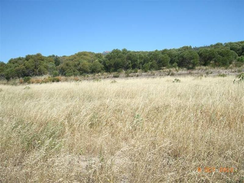 Lot 731 Premier Circle, Dongara WA 6525