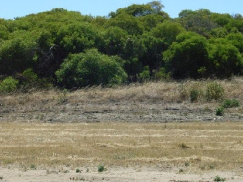 Lot 731 Premier Circle, Dongara WA 6525