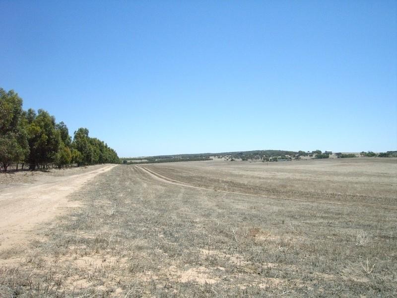 Lot 1 – 289 Steele Road, Dongara WA 6525