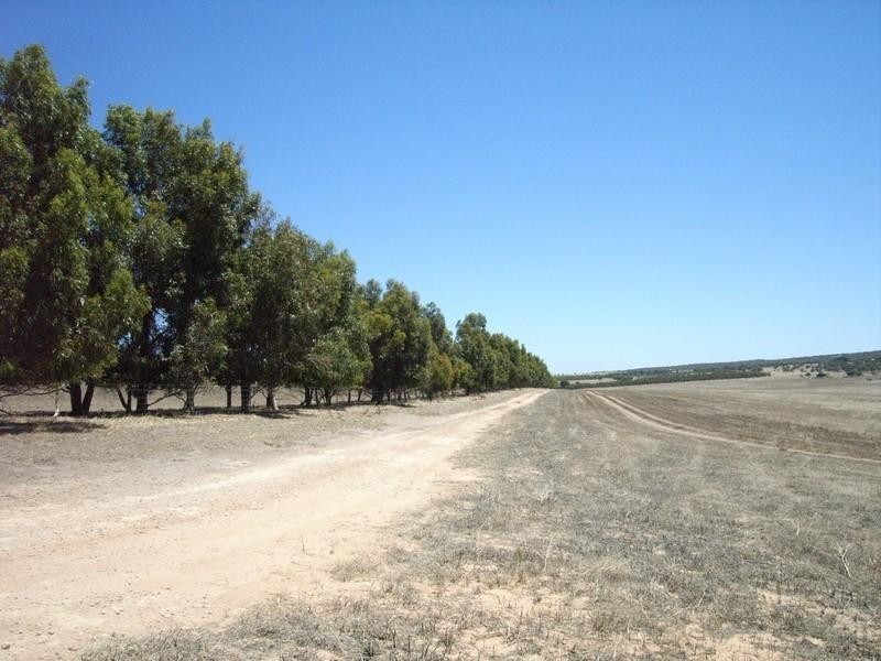 Lot 1 – 289 Steele Road, Dongara WA 6525