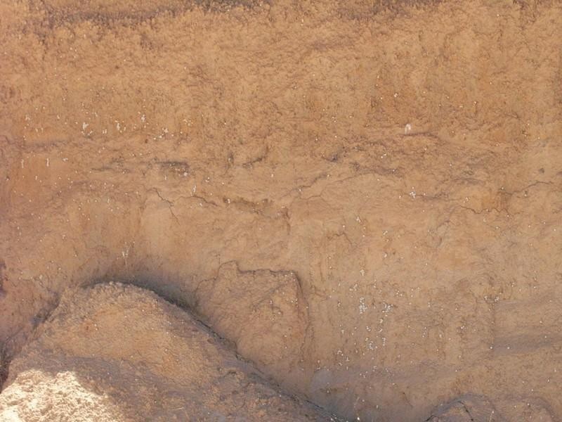 Lot 1 – 289 Steele Road, Dongara WA 6525