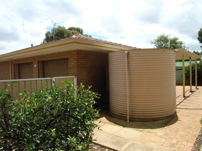 55 Carter Street, Three Springs WA 6519