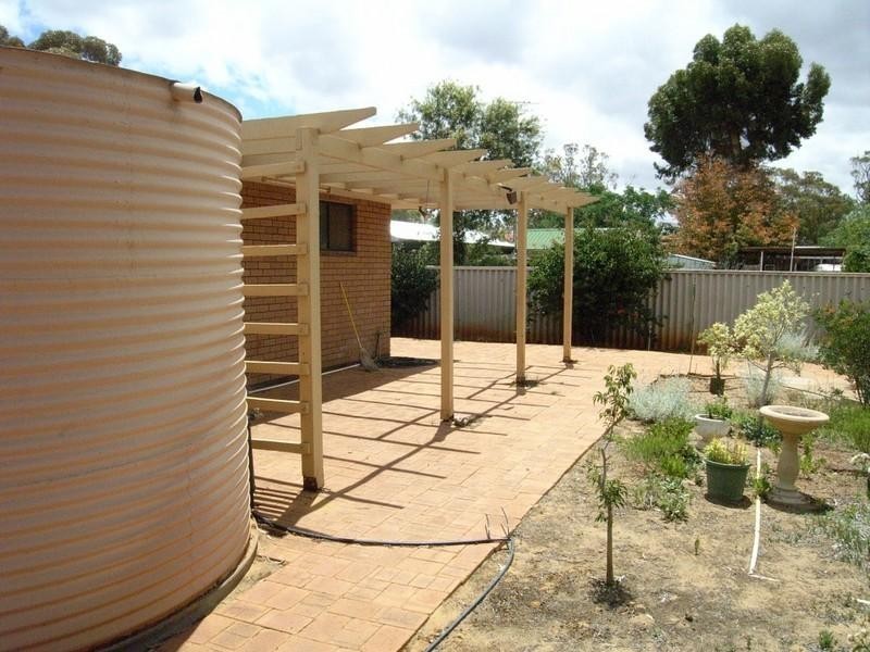 55 Carter Street, Three Springs WA 6519