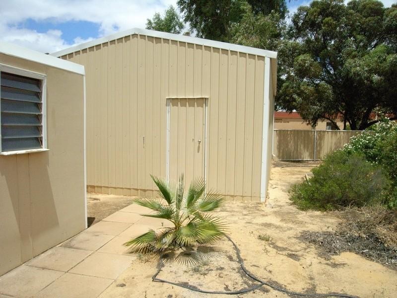 55 Carter Street, Three Springs WA 6519