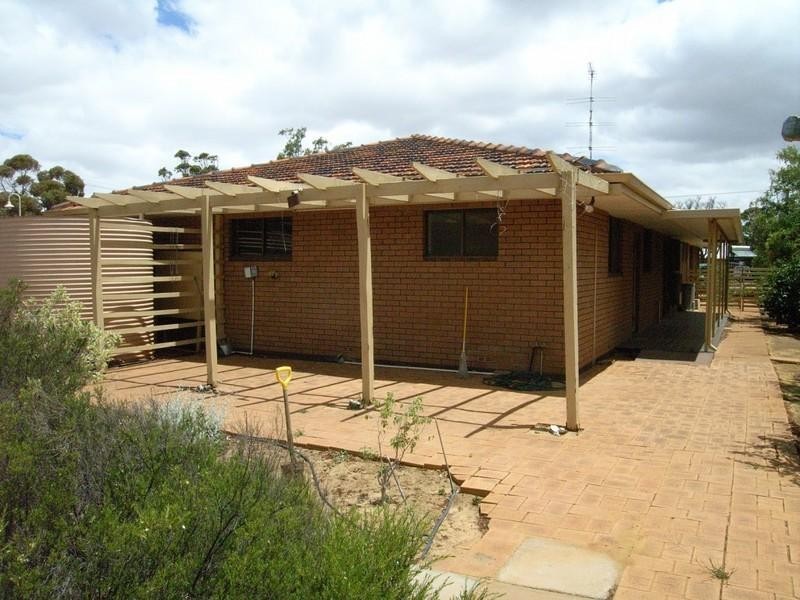 55 Carter Street, Three Springs WA 6519