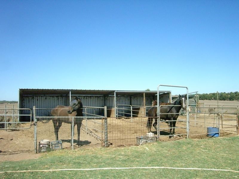 289 Steele Road, Bonniefield WA 6525