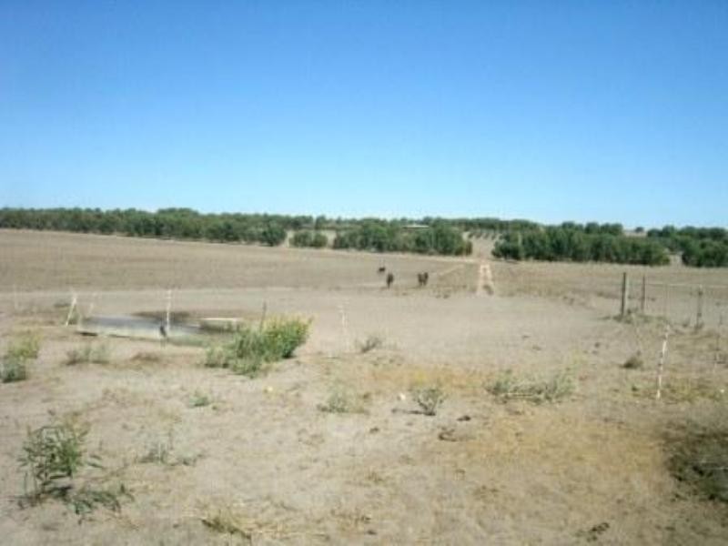 289 Steele Road, Bonniefield WA 6525