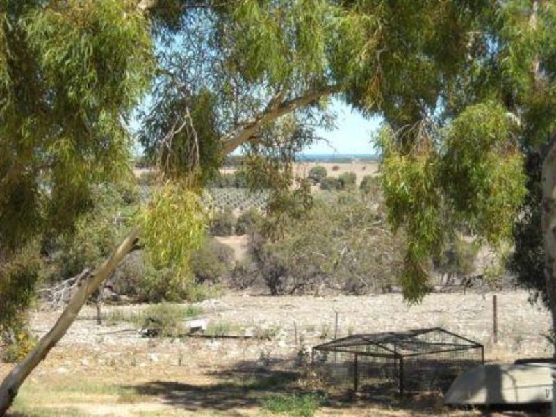 289 Steele Road, Bonniefield WA 6525