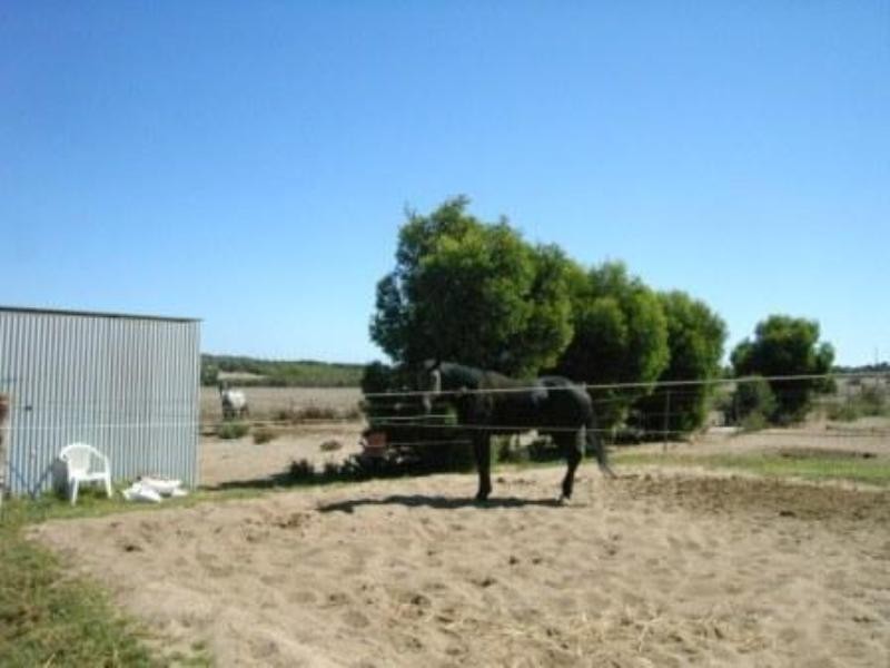 289 Steele Road, Bonniefield WA 6525